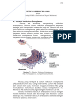 RETIKULUM ENDOPLASMA (Adnan, UNM)