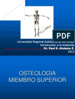 miembro superior, Anatomia.ppt