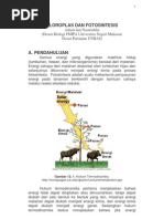 Download KLOROPLAS Adnan UNM by adnan_unm3177 SN20537338 doc pdf