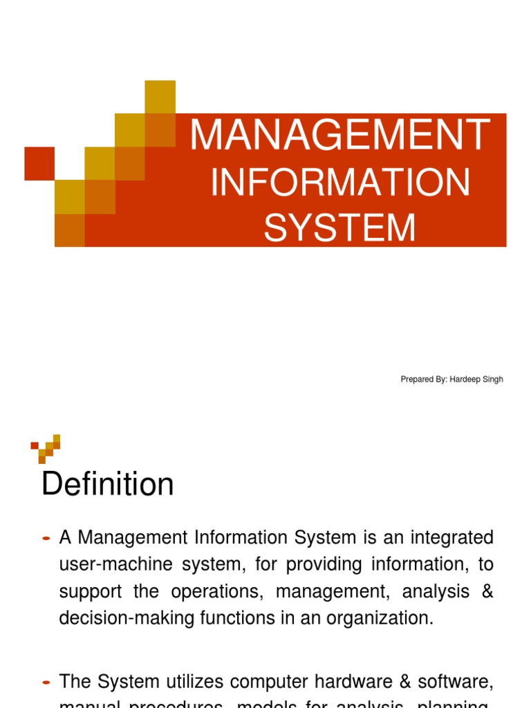 Management Information System | PDF