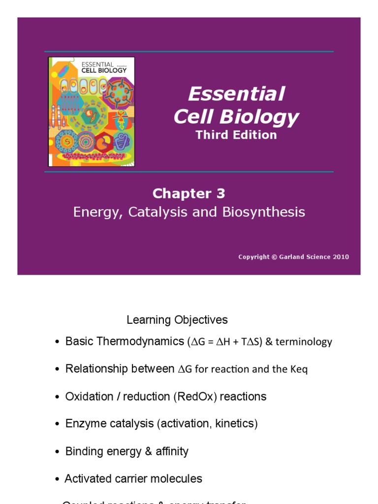 Essential Cell Biology Energy, Catalysis and Biosynthesis PDF