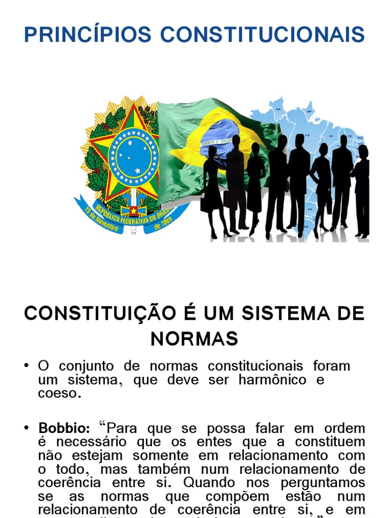 Princípios Constitucionais: Conheça Os Mais Importantes – FYZQL