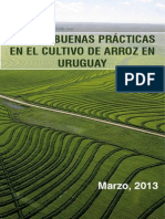 ARROZ GUIA_DE_BUENAS_PRACTICAS_marzo_2013.pdf