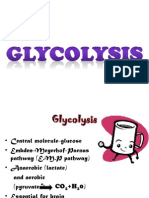 Glycolysis New