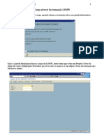 Carga através da transação LSMW_completa.docx