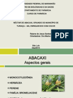 ABACAXI.pdf