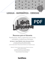 Planificacion Anual Lapiz Lapicera Primer Grado PDF