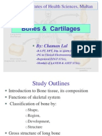 Bones & Cartilages: Federal Institutes of Health Sciences, Multan