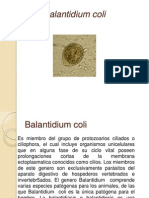 Balantidium Coli