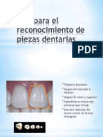 Tips Para El Reconocimiento de Piezas Dentarias