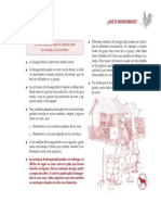 Bioseguridad Fao PDF