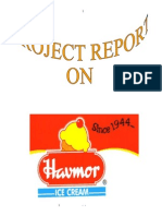 Havmor Ice Creams Bba Mba Project Report