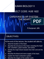 The Heart - Cardiovascular System