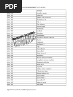 Download Avance Juegos Tributo Players by Tributo Cceres SN205601322 doc pdf