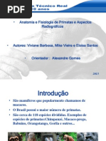 Trabalho Sobre Primatas