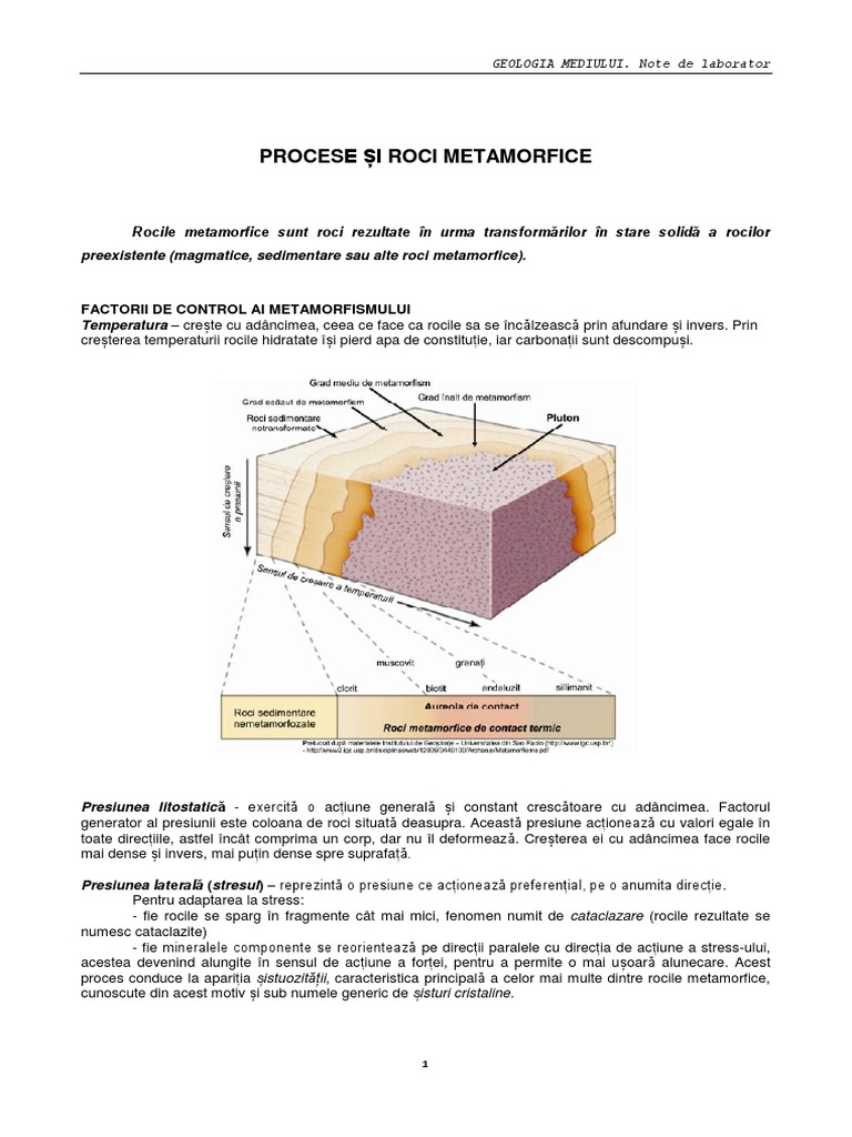 Procese Si Roci Metamorfice | PDF