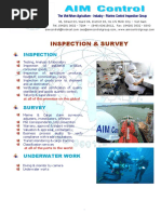 Download Inspection - Survey in Hai Phong Dung Quat Vung Tau Ha Noi Ho Chi Minh Vietnam by Inspection SN20562008 doc pdf