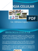 Biologia Celular