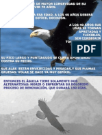Aguila Pps