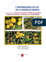 1227-Texto Completo 1 Plagas y enfermedades de los cítricos en la Región de Murcia.pdf