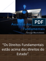 Aula 2 - Ascensão Dos Direitos Fundamentais 2