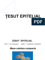 Curs Tesut Epitelial Studenti(2013)