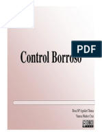 Control Borro So
