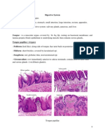 Digestive Histology