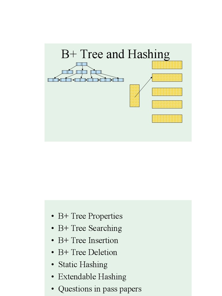 The tree of life essay picture