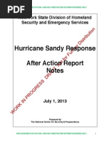 Download Sandy Notes After-Action Report by Casey Seiler SN205726386 doc pdf