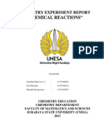 "Chemical Reactions": Chemistry Experiment Report