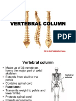 Vertebra Column - Ns Aimst 12 To1 Pm,2.12.12