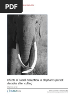 Effects of Social Disruption in Elephants Persist