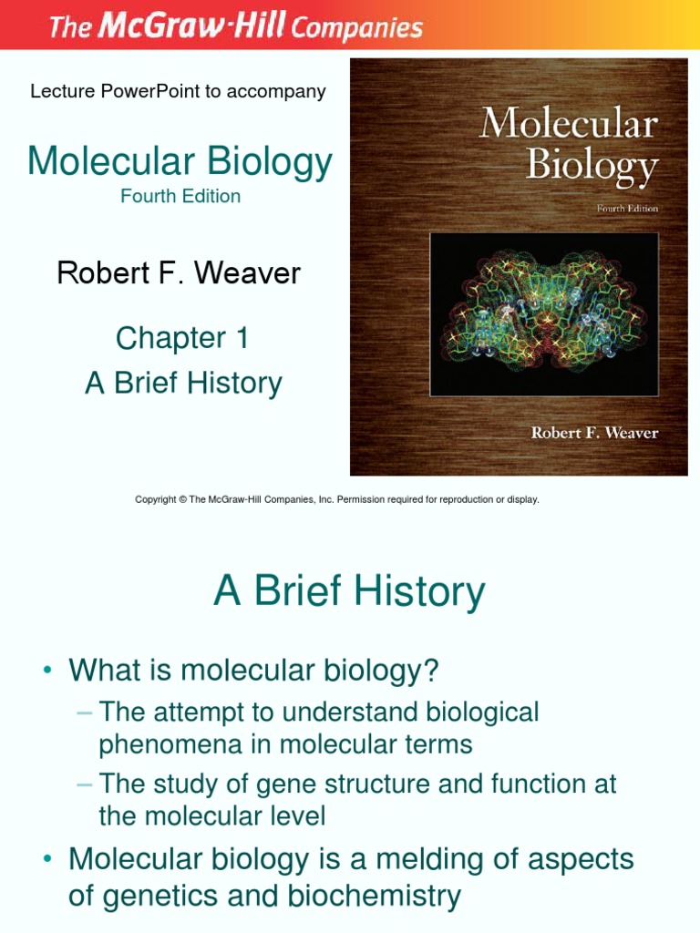 Molecular Biology Fourth Edition Chapt01 Lecture Gene