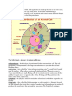 The Cell Is The Basic Unit of Life