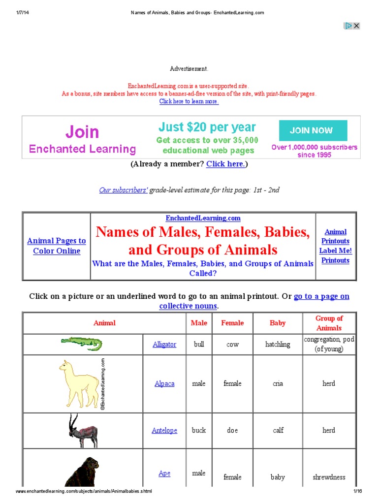 names-of-animals-babies-and-groups-enchantedlearning-pdf-sheep