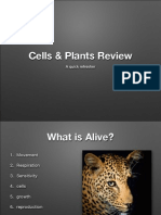 Myp 3 Cells Plants Review