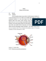 Kornea PDF