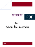 T8 Cicle Dels Acids Tricarboxilics 11-12