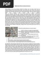 Download Prinsip Kerja Rotary Vakum Evaporator by Odilia Steffany Indriyani SN205804156 doc pdf