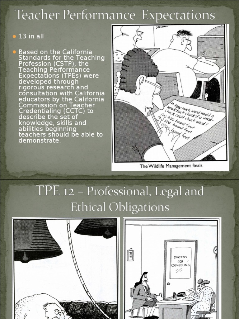Teacher Performance Expectations | PDF | Business | Self-Improvement