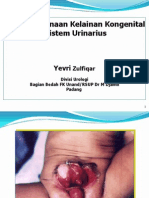 Penatalaksanaan Kelainan Kongenital Uro