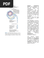 Download Biokimia tugas 1 by Tri Hiu Amborowati SN20581634 doc pdf