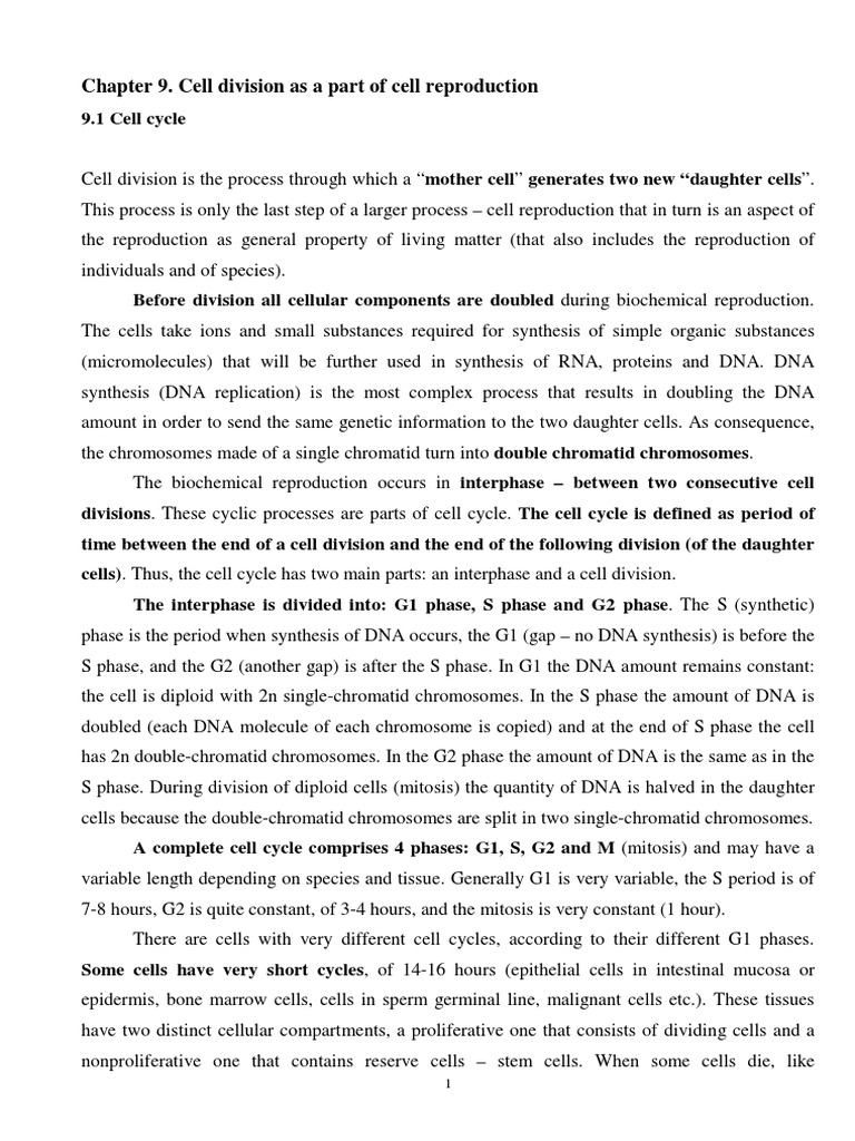 Understanding Cell Division and Cycle | PDF | Meiosis | Mitosis