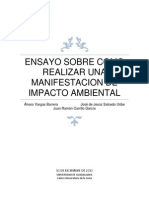 Ensayo Sobre Como Realizar Una Manifestacion de Impaacto Ambiental