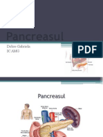 Pancreas Ul