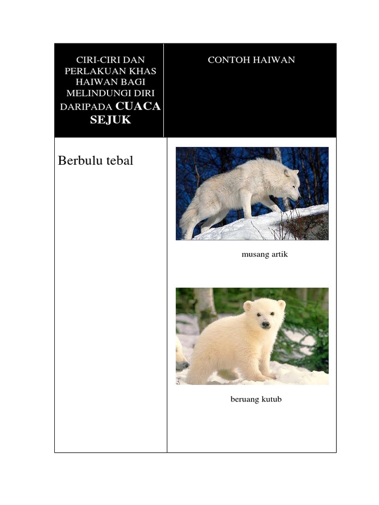 9 Haiwan Ini Mati Dalam Keadaan Beku Akibat Cuaca Sejuk Melampau Iluminasi