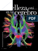 La Belleza Esta en Tu Cerebro