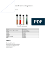 Informe de Pruebas Bioquímicas