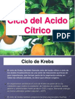 Ciclo Del Acido Citrico, llamdo tambien ciclo de los ácidos tricarboxilicos o ciclo de Krebs.